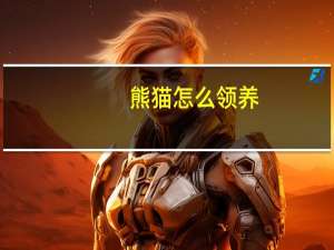 熊猫怎么领养（qq熊熊领养）