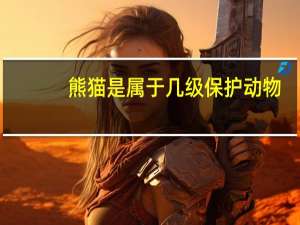 熊猫是属于几级保护动物