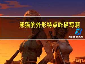 熊猫的外形特点咋描写啊