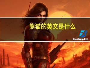 熊猫的英文是什么