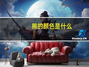 熊的颜色是什么