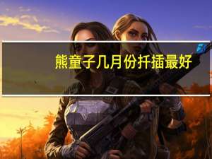 熊童子几月份扦插最好