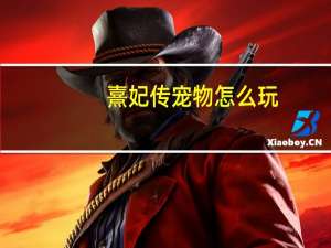 熹妃传宠物怎么玩