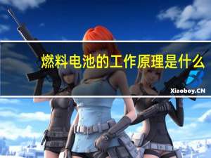 燃料电池的工作原理是什么