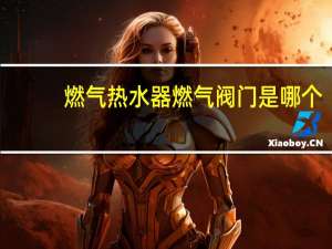 燃气热水器燃气阀门是哪个