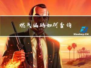 燃气编码如何查询