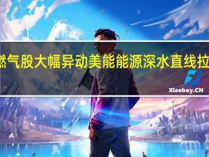 燃气股大幅异动美能能源深水直线拉升涨停