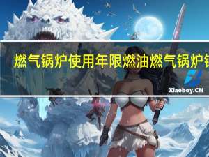 燃气锅炉使用年限 燃油燃气锅炉锅炉