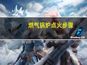 燃气锅炉点火步骤