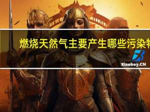 燃烧天然气主要产生哪些污染物