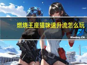 燃烧王座猫咪速升流怎么玩_燃烧王座猫咪速升流玩法攻略