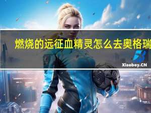 燃烧的远征血精灵怎么去奥格瑞玛（血精灵怎么去奥格瑞玛）