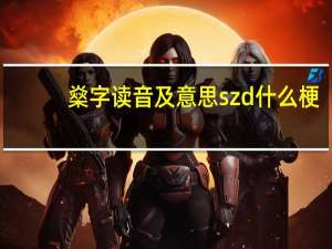 燊字读音及意思 szd什么梗