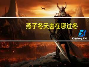 燕子冬天去在哪过冬