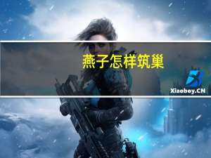 燕子怎样筑巢