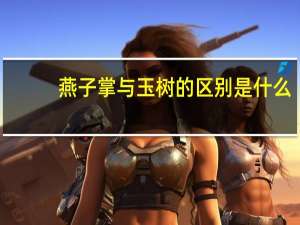 燕子掌与玉树的区别是什么