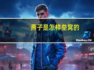 燕子是怎样垒窝的