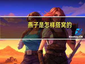 燕子是怎样搭窝的