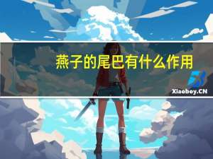 燕子的尾巴有什么作用_