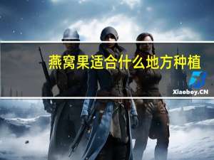 燕窝果适合什么地方种植