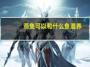 燕鱼可以和什么鱼混养