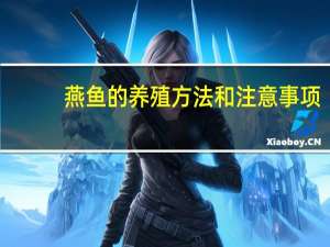 燕鱼的养殖方法和注意事项