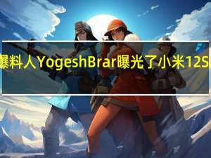 爆料人YogeshBrar曝光了小米12S的参数