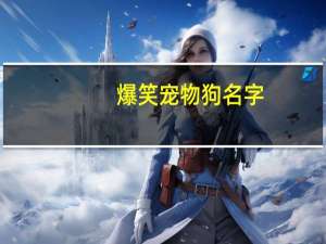 爆笑宠物狗名字