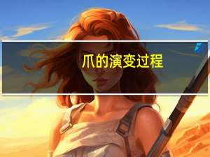 爪的演变过程