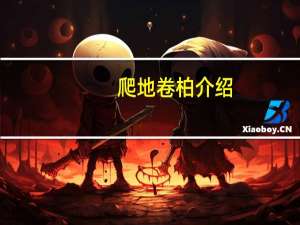 爬地卷柏介绍