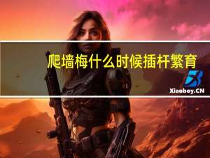 爬墙梅什么时候插杆繁育（爬墙梅）
