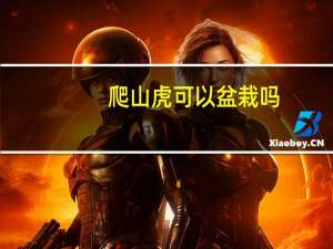 爬山虎可以盆栽吗