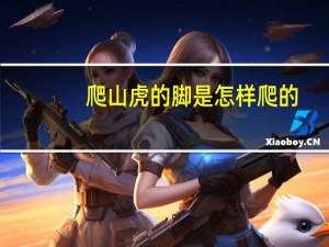 爬山虎的脚是怎样爬的