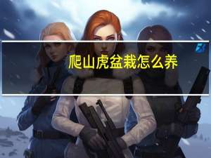 爬山虎盆栽怎么养
