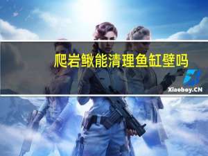 爬岩鳅能清理鱼缸壁吗