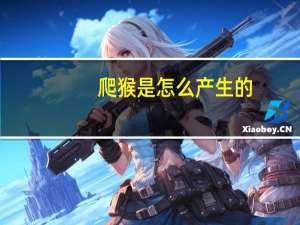 爬猴是怎么产生的（爬猴简介）