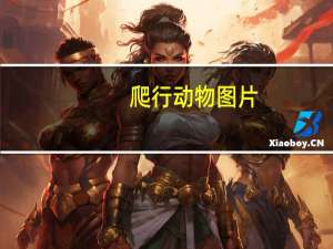 爬行动物图片（爬行动物）