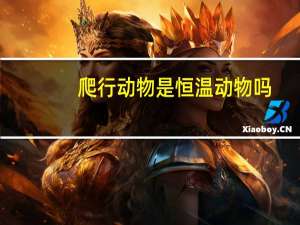 爬行动物是恒温动物吗