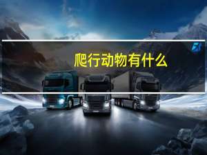 爬行动物有什么