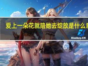 爱上一朵花就陪她去绽放是什么意思