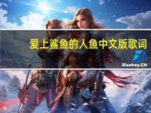 爱上鲨鱼的人鱼中文版歌词（爱上鲨鱼的人鱼中文歌词）