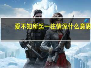 爱不知所起一往情深什么意思