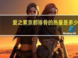 爱之素京都排骨的热量是多少