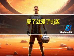 爱了就爱了dj版（爱了就是）