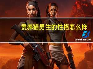 爱养猫男生的性格怎么样