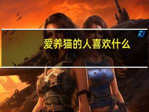 爱养猫的人喜欢什么