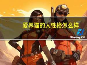 爱养猫的人性格怎么样