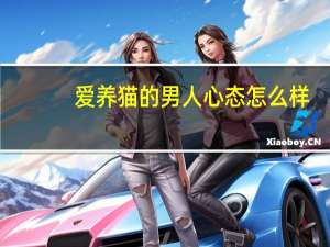 爱养猫的男人心态怎么样