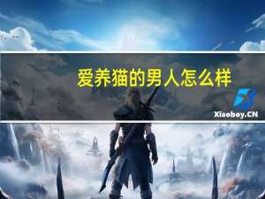 爱养猫的男人怎么样