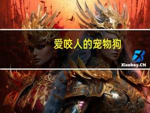 爱咬人的宠物狗
